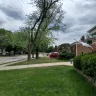 ComEd - Trim trees - Photo 2
