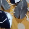 Naaptol Online Shopping - Defective products - Photo 1