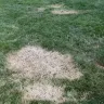 Duke Energy - Tree maintenance & damage to yard - Photo 1