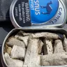 Camel - Camel snus