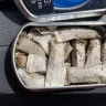 Camel - Camel snus