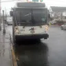 NJ Transit - bus driver