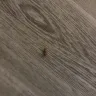Days Inn - racial profiling / roaches - Photo 2