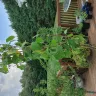 Nature Hills Nursery - [protected]