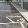 Dollar Tree - Trash in parking lot