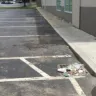 Dollar Tree - Trash in parking lot - Photo 1
