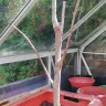 Gardening Express - Dead plants - Photo 2