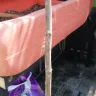 Gardening Express - Dead plants - Photo 1