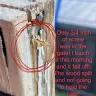 Angies List - Backyard deck repair - Photo 6