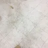 Variety Wholesalers - Filthy/unsanitary restroom in Raleigh, NC Rose's store - Photo 2