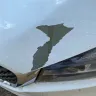 KIA Motors - Paint chipping
