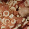 Campbell's - Spaghettios with meatballs