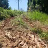 Georgia Power - Front Lawn destroyed by employees - Photo 2