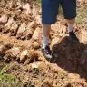 Georgia Power - Front Lawn destroyed by employees - Photo 3
