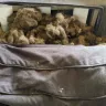 Montage Furniture Services - Couch and recliner - Photo 7