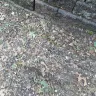 Consumers Energy - Service truck damaging property - Photo 16