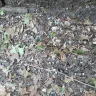 Consumers Energy - Service truck damaging property - Photo 15
