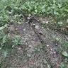 Consumers Energy - Service truck damaging property - Photo 18