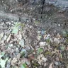 Consumers Energy - Service truck damaging property - Photo 10