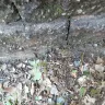 Consumers Energy - Service truck damaging property - Photo 1