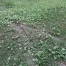 Consumers Energy - Service truck damaging property - Photo 17
