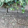 Consumers Energy - Service truck damaging property - Photo 12