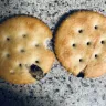 Ritz Crackers - Strange black object found in ritz crackers - Photo 1