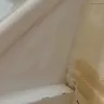 Dulux Paints - Dulux Trade Quick Dry Wood Primer Undercoat - Photo 3