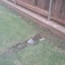 Baymont Inn & Suites - The worst hotel in America Baymont Wichita Falls Texas - Photo 28