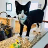 Banfield Pet Hospital - They killed my cat - Photo 1