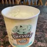 Dreyer's Ice Cream - Mint Chocolate Chip Ice Cream