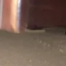 Baymont Inn & Suites - I am filing a complaint about how gross the hotel was - Photo 1