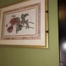 Baymont Inn & Suites - I am filing a complaint about how gross the hotel was - Photo 13