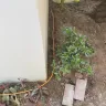 Vodacom - Fibre installation