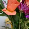 Bloomex - Half dead flowers - and replacement bouquet was worse!