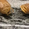Ritz Crackers - Packaging