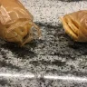 Ritz Crackers - Packaging - Photo 2