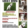 Pup Protector Pet Transport - Failed to deliver