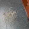Fantastic Sams Cut & Color - Perm solution burned my hair/poor decision on service I asked for knowing I - Photo 1