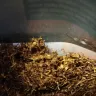 CTC Tully - 25g riverstone tobacco - Photo 1