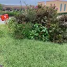 Popeyes - Condition of store grounds