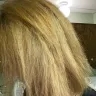 Fantastic Sams Cut & Color - Coloring, styling, unprofessional - Photo 3