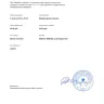 Google - Google pay - Photo 1