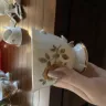WestJet Airlines - Damaged Fragile Goods and Flight Delays - Photo 4