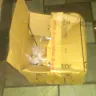 FedEx - Damaged, opened box