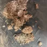 Purina - Purina Impact all stages 12% textured horse feed - Photo 1