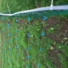Scotts.com - Turf builder sun and shade grass seed, turf builder lawn food, turf builder weed and feed - Photo 2