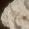 Sanderson Farms - Chicken gizzards - Photo 5