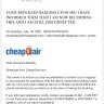 CheapOair - Flight Disappeared - Photo 12
