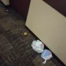 Red Roof Inn - Housekeeping customer service - Photo 6